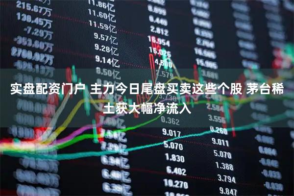 实盘配资门户 主力今日尾盘买卖这些个股 茅台稀土获大幅净流入